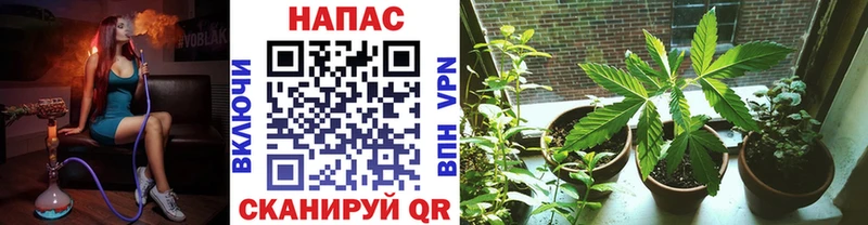Каннабис ГИДРОПОН  Ивдель 